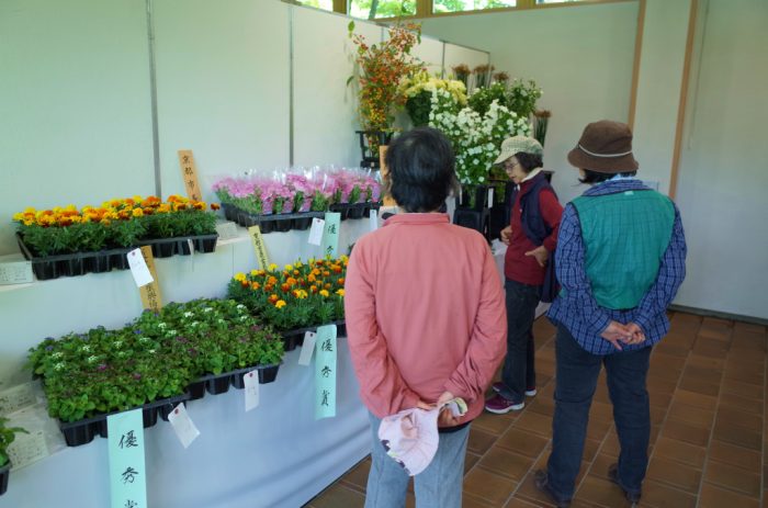 平成３０年度京都府春季花き品評会