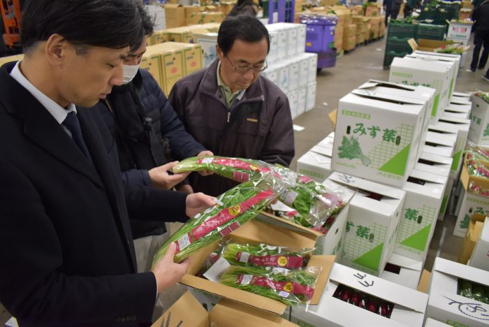 自動包装機に対応した包装容器で京のブランド産品「京みず菜」を試験出荷