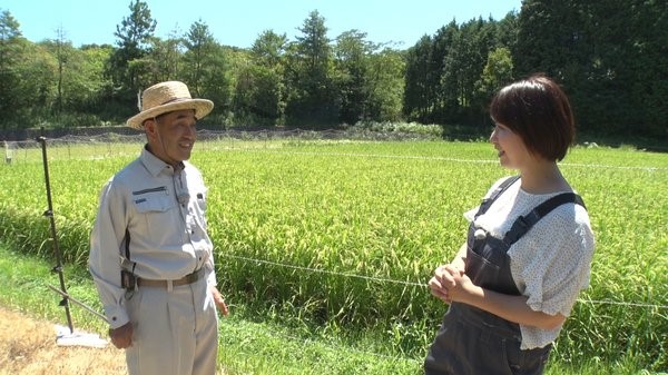 生産農家にインタビューする稲富リポーター